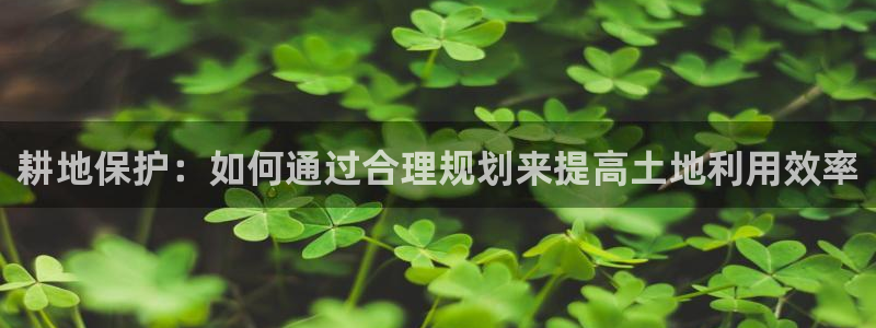 28圈客服：耕地保护：如何通过合理规划来提高土地利用效率