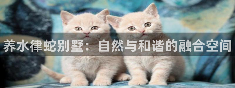 28圈中国