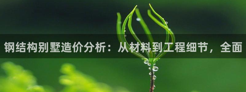 28圈垫付金额：钢结构别墅造价分析：从材料到工程细节，全面